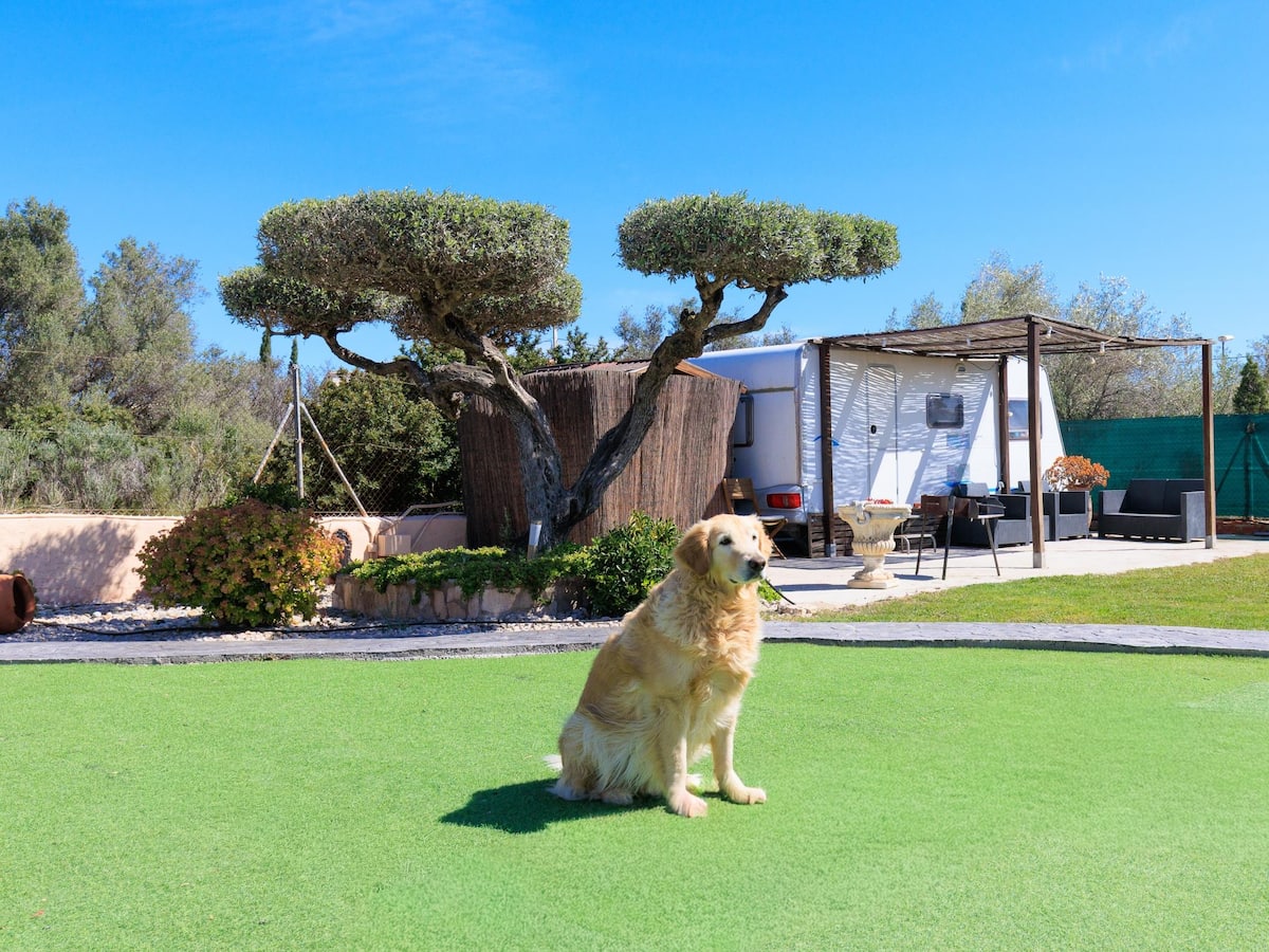 Jardin apto para mascotas en la masia